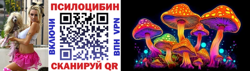 Псилоцибиновые грибы Psilocybine cubensis  Купить где  Полевской 